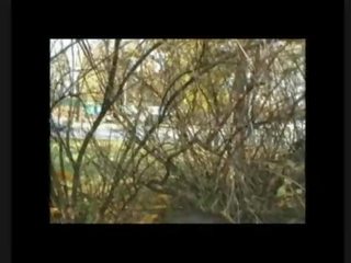 বাস্তব অপেশাদার বাড়ীতে তৈরী গন বয়স্ক চলচ্চিত্র footage